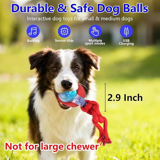 Oxawo Interactive Dog Toys Pet Busy Balls Wiggles Ball - Image 6