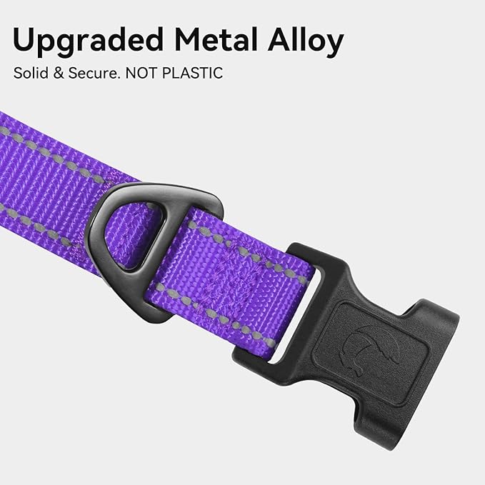 Joytale Reflective Dog Collar, Soft Neoprene Padded, Metal D-Ring, Nylon Pet - Image 3