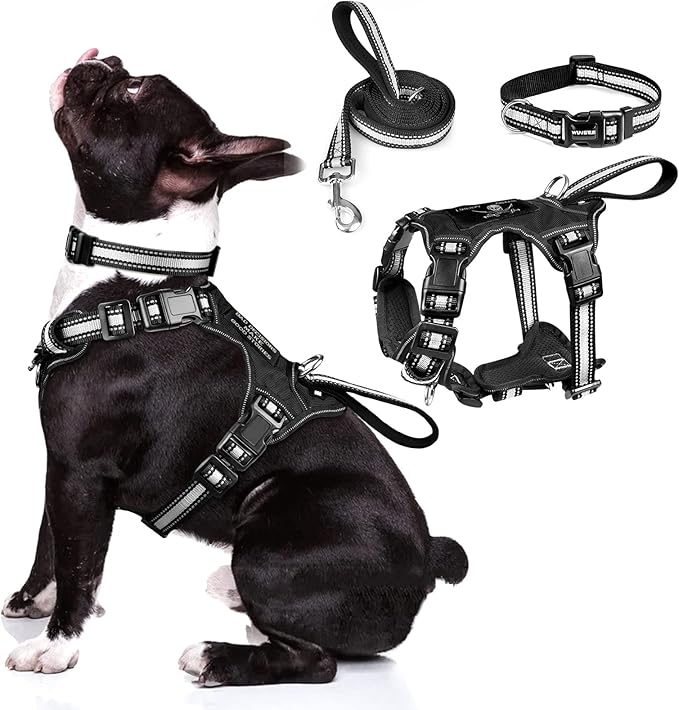 WINSEE Pet Harness Collar and Leash Set, All-in-one Reflective Dog Harness No by WINSEE