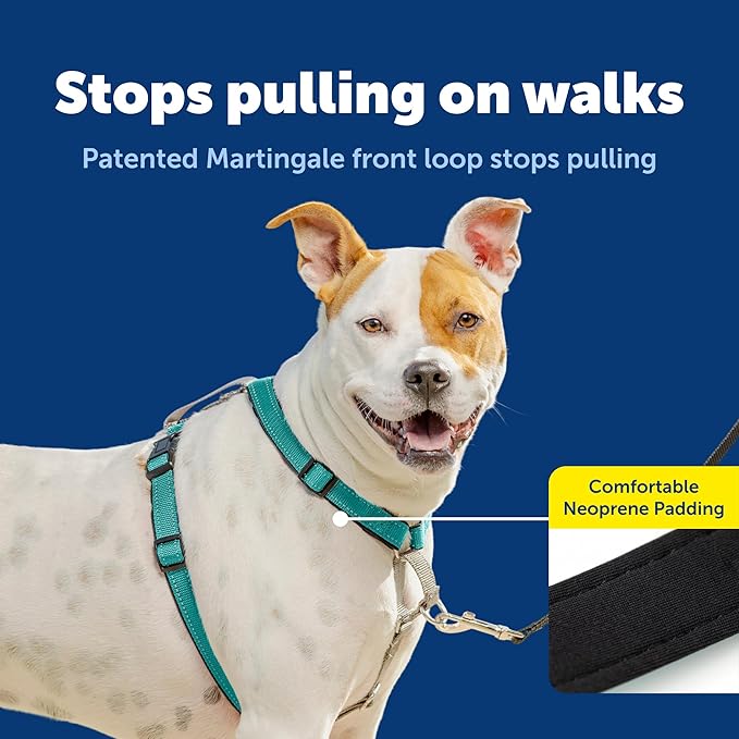 PetSafe 3 in 1 No-Pull Dog Harness - Image 3