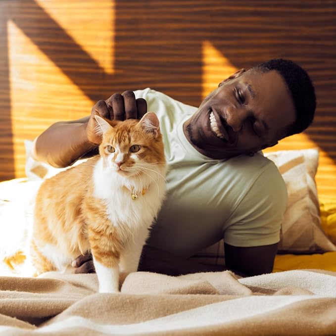 Temptations Cat Treats Classic Crunchy and Soft Cat Treats, Tasty Chicken Flavor - Image 14