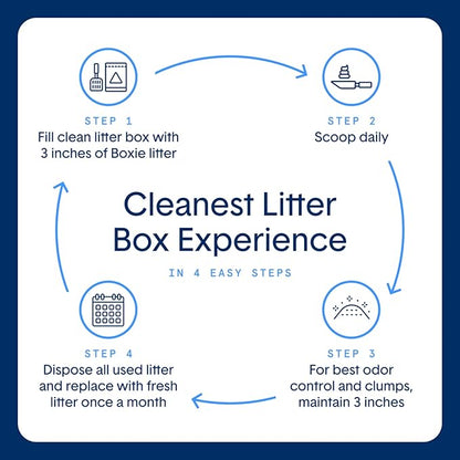 Boxie® Probiotic 40 Day Natural Odor Control Cat Litter, 16lb Clumping Clay - Image 6
