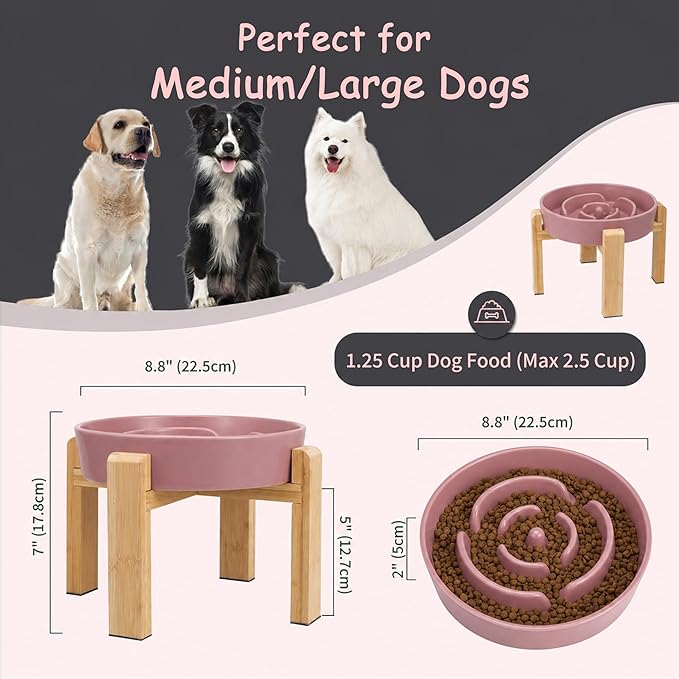 Elevated Slow Feeder Dog Bowl Large Breed, 8.8 Inch Ceramic Slow Eating Bowl - Image 2