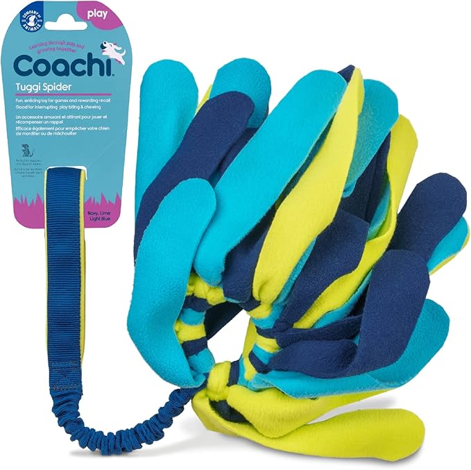 Coachi Tuggi Spider by CompanyofAnimals