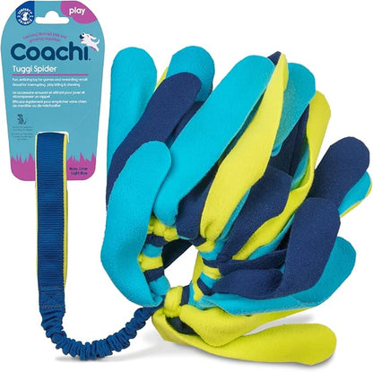 Coachi Tuggi Spider by CompanyofAnimals