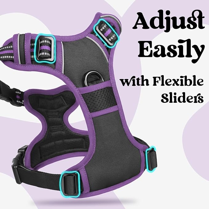 rabbitgoo Dog Harness Small Sized, No Pull Easy On & Off - Image 3