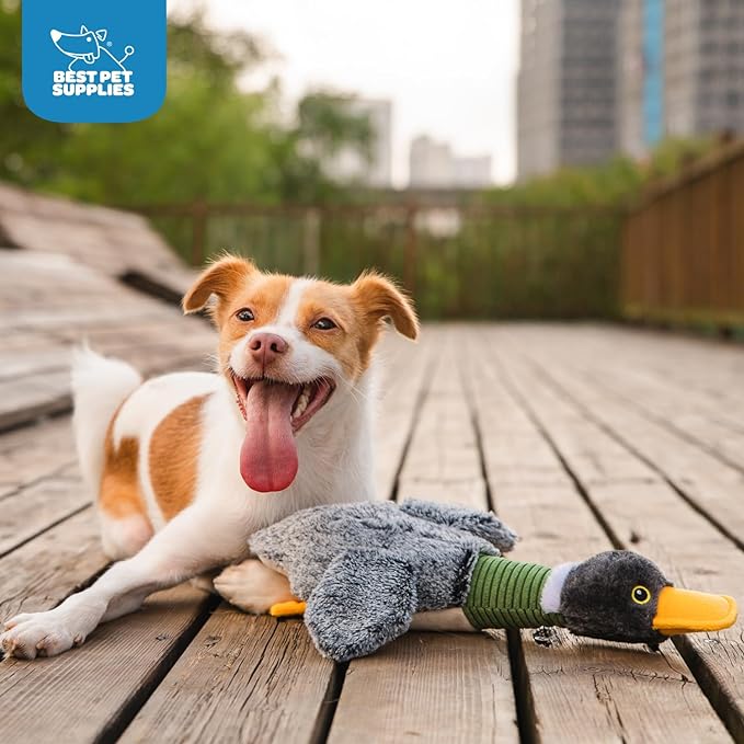 Best Pet Supplies Interactive Squeaky Dog Chew Toy, Ideal Dog Toys - Image 5