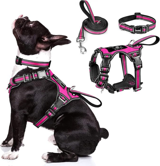 WINSEE Pet Harness Collar and Leash Set, All-in-one Reflective Dog Harness No by WINSEE