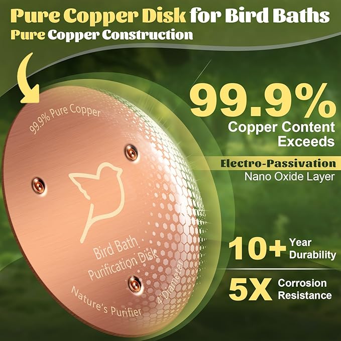 3 PCS Bird Bath Copper Disk, Reinforced 99.99% Pure Copper Disc - Image 3