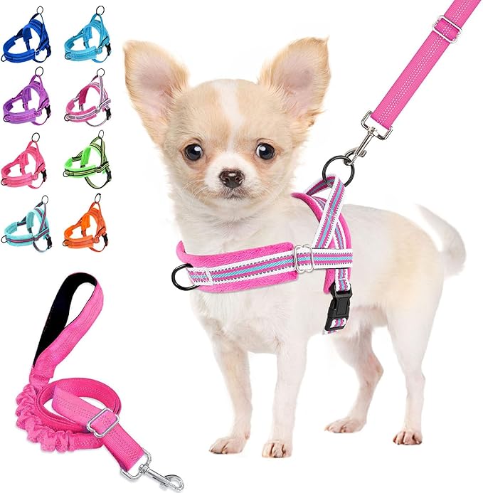 Lukovee No Pull Dog Harness and Leash Set, Soft Padded Small Dog Harness by Lukovee
