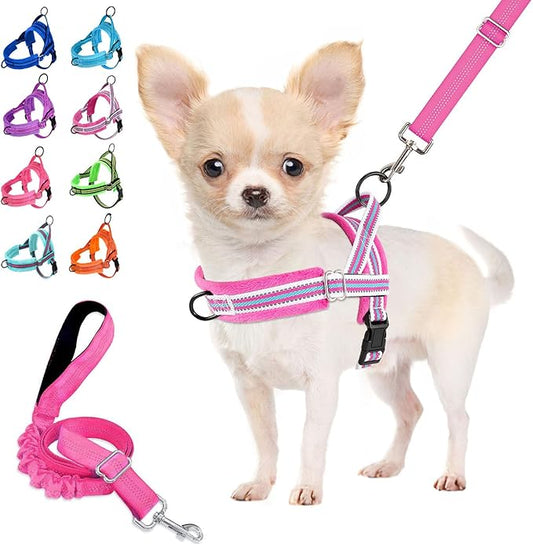 Lukovee No Pull Dog Harness and Leash Set, Soft Padded Small Dog Harness by Lukovee