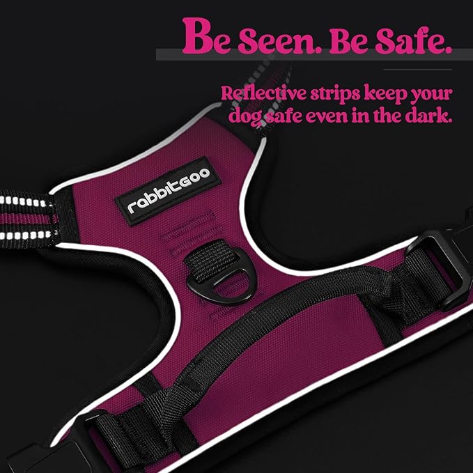 rabbitgoo Dog Harness No Pull - Image 7