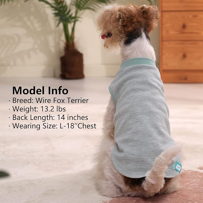 KYEESE 2Pack Dog Shirts Waffle for Small Dogs Stretchy Pet T-Shirts Lightweight - Image 7