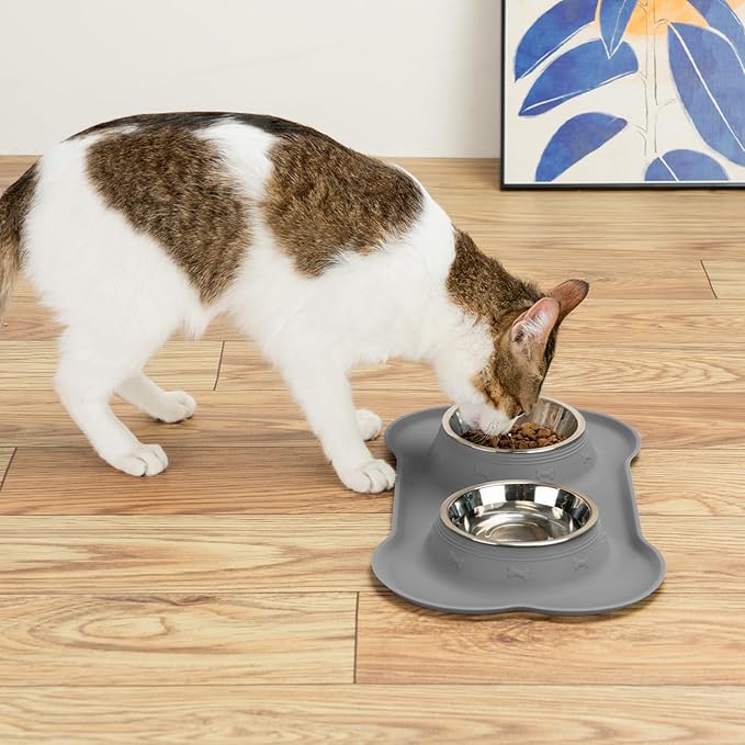 Conlun Dog Bowls with Silicone Feeding Mat, No Spill Food Water Dish Set - Image 9