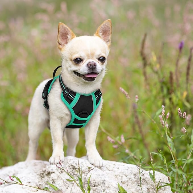 rabbitgoo Dog Harness No Pull - Image 7
