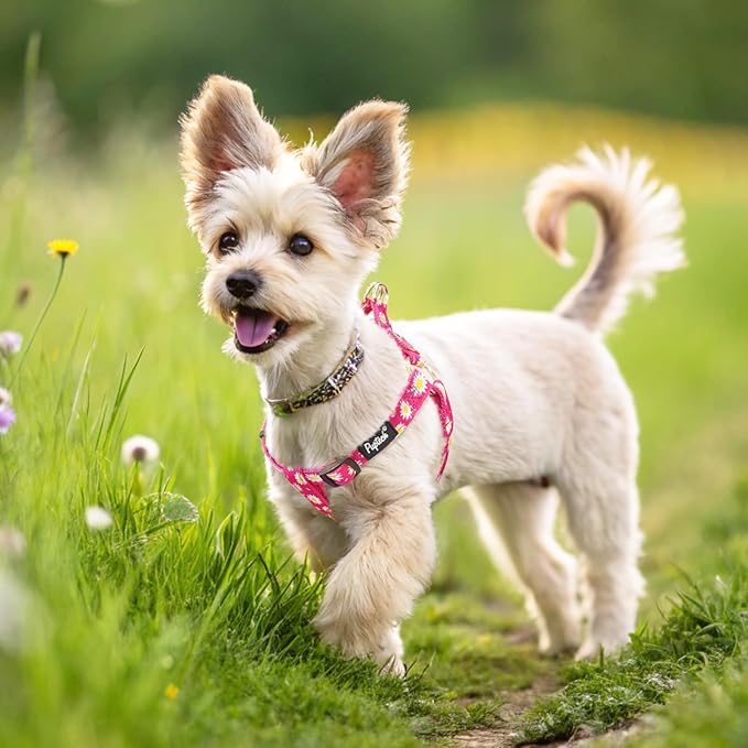 PUPTECK No Pull Dog Harness Soft Adjustable Basic Nylon Step in Puppy Vest - Image 5