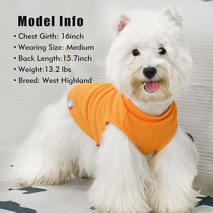 KYEESE 2Pack Waffle Dog Shirts, Lightweight Sleeveless Dog T Shirts - Image 9