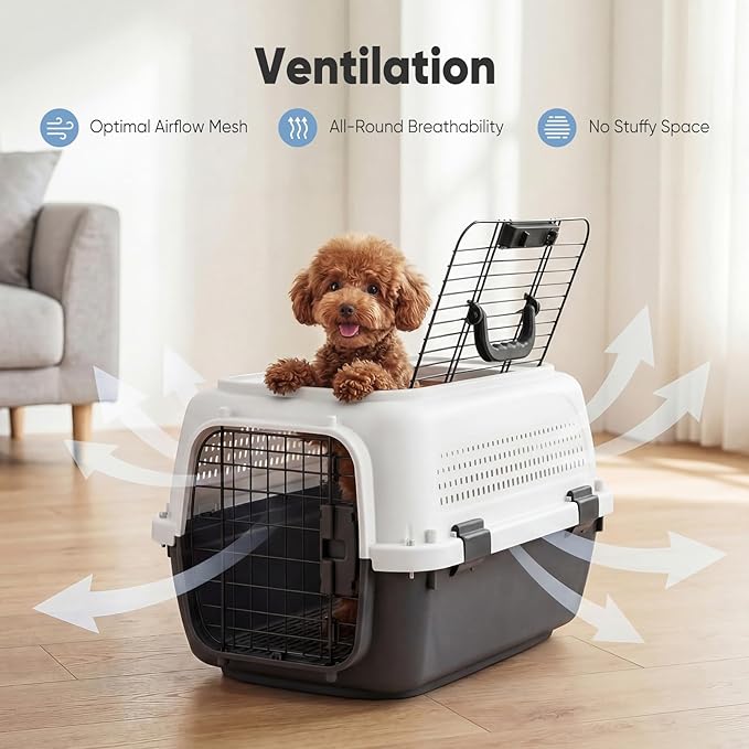 DUMOS 23" Hard-Sided Pet Carrier - Image 2