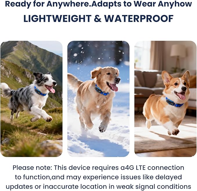 DBDD AI GPS Tracker for Dogs - Image 8