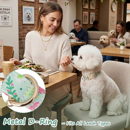 Dog Collar with Pink Floral Patterns, Spring Summer Collection Green Dog Collar - Image 6
