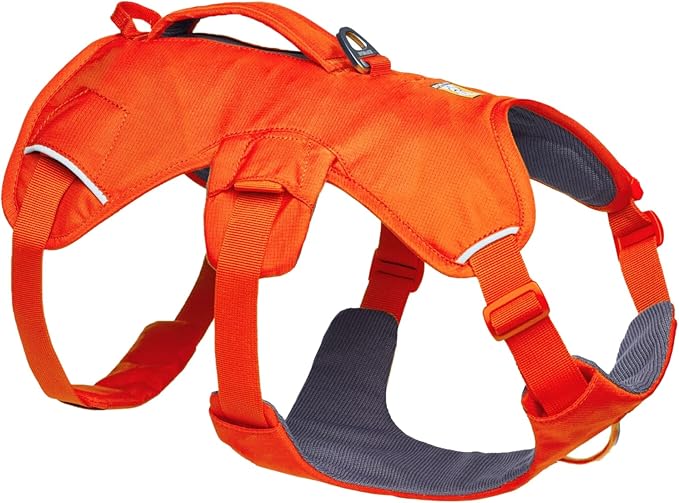 Ruffwear, Web Master, Hiking and Trail Running, Service and Working, Everyday by RuffwearInc