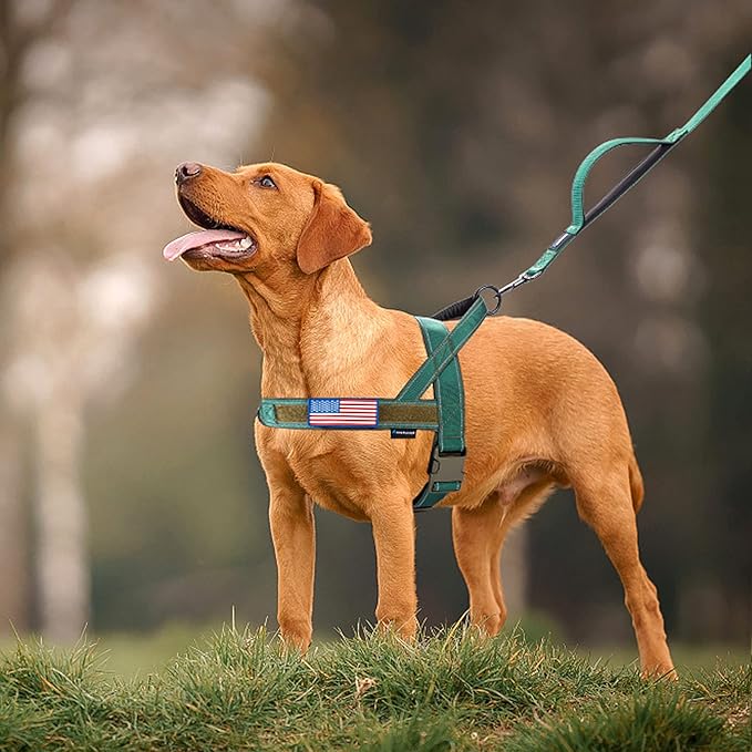 Annchwool No Pull Dog Harness - Image 6