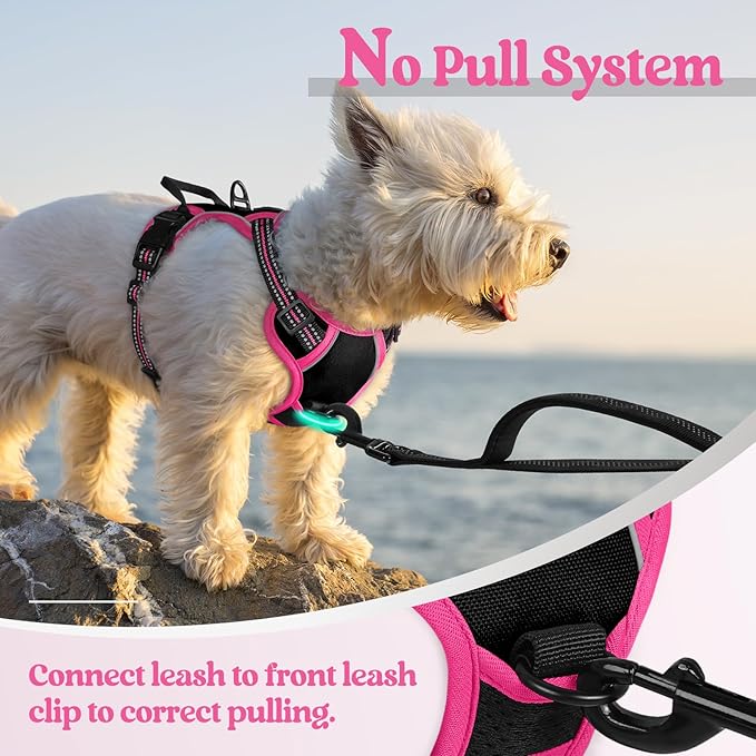 rabbitgoo Dog Harness No Pull - Image 5