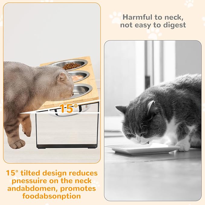 Elevated Cat Bowls with 3 Stainless Steel, 15° Tilted Raised Cat Bowl Set - Image 4
