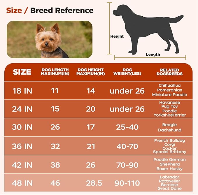BestPet | Dog Crate | 24" | Black | Foldable Metal Kennel - Image 6