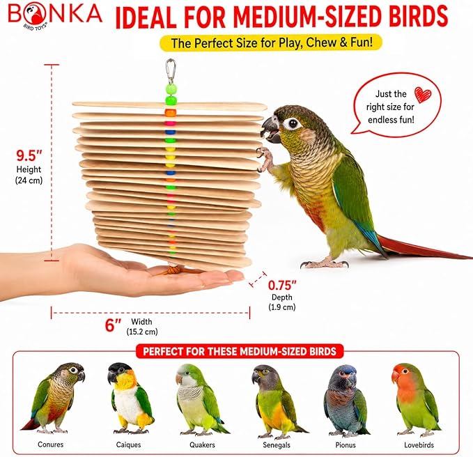 Bonka Bird Toys 867 Pk2 Big Natural Stick Bird Toy 9.5" x 6" Natural Wood - Image 5