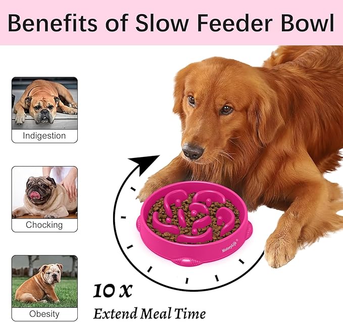 MateeyLife Large Slow Feeder Dog Bowls, Anti-Choking Puzzle Dog Food Bowls - Image 2
