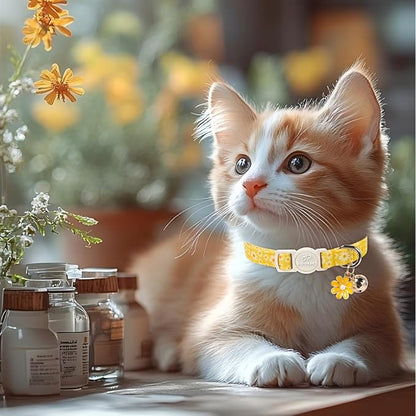 2 Pack Daisy Cat Collars - Image 6
