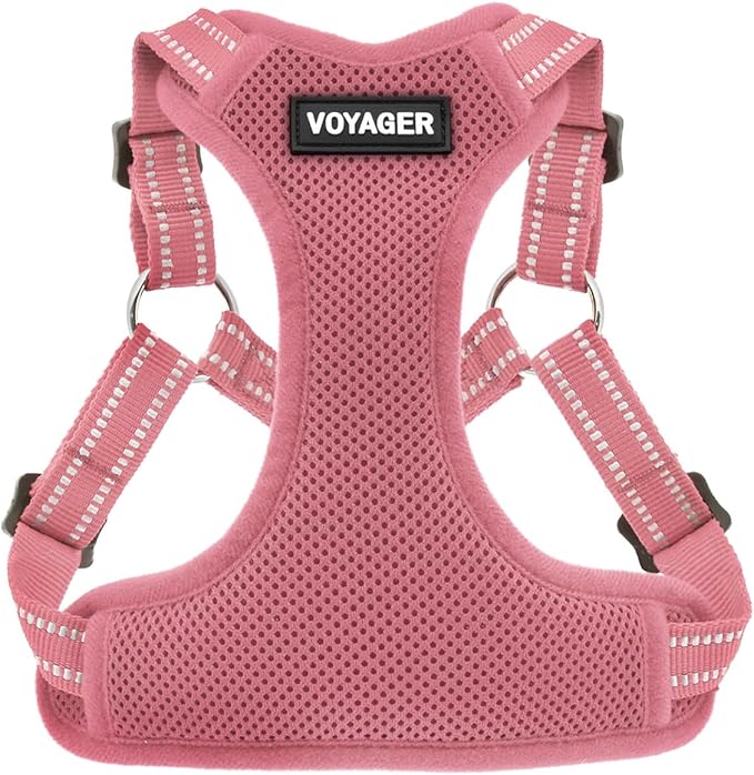 Best Pet Supplies Voyager Adjustable Step-in Flex Breathable Mesh Dog Harness by BestPetSuppliesLLC