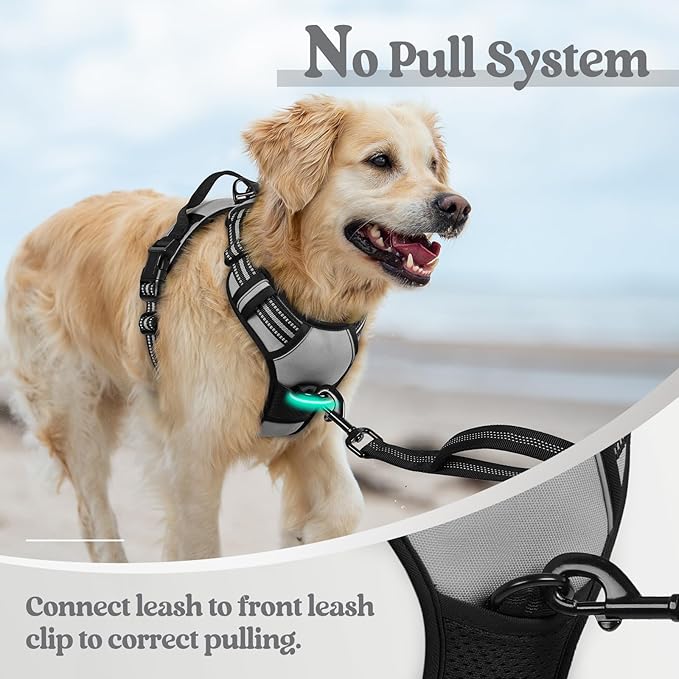 rabbitgoo Dog Harness No Pull - Image 5