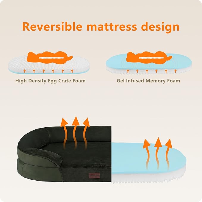 Dwanton Orthopedic Dog Bed for Extra Large Dogs - Image 3
