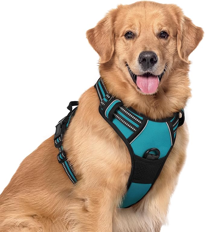 rabbitgoo Dog Harness No Pull by rabbitgoo