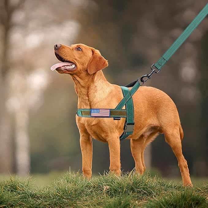Annchwool No Pull Dog Harness - Image 6