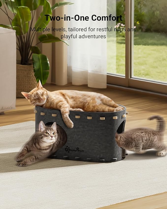 DownyPaws Cat House for Indoor Cats, Cat Bed Cave for Multiple & Large Cats Up - Image 2
