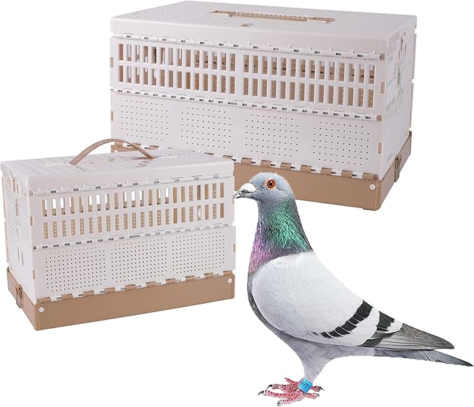 Plastic Foldable Pigeon Cage by TOHONGADON