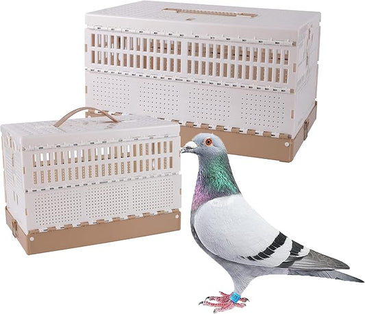 Plastic Foldable Pigeon Cage by TOHONGADON