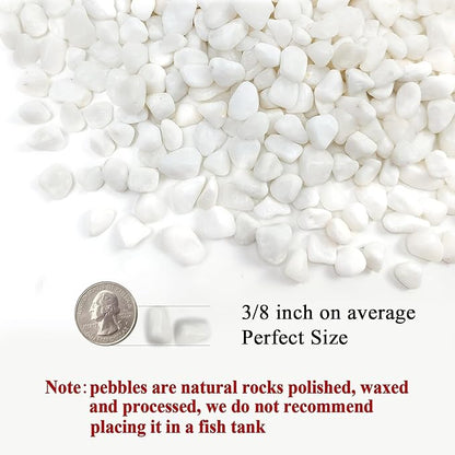 FANTIAN White Pebbles for Indoor Plants, 3/8 Inch Decorative White Stones. - Image 2