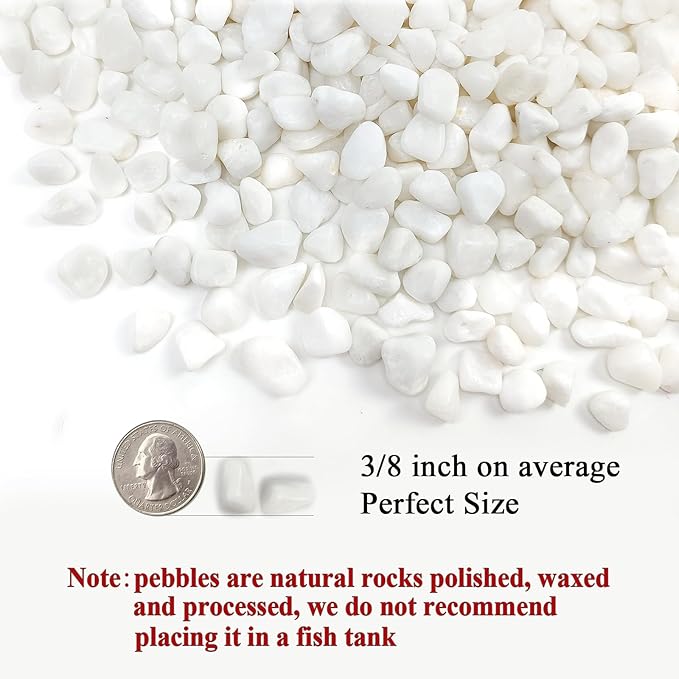 FANTIAN 2 Pounds White Pebbles for Indoor Plants, 3/8 Inch Polished White Rocks - Image 2
