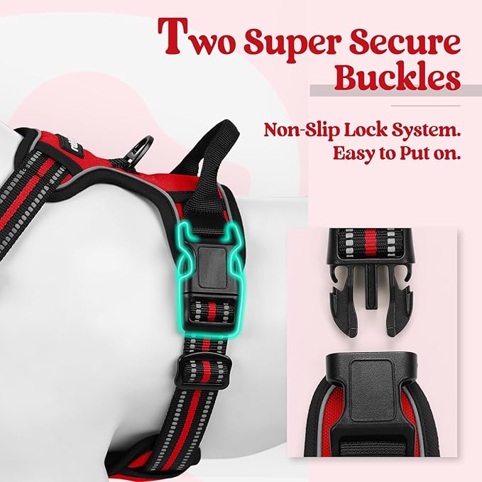 rabbitgoo Dog Harness, No-Pull Pet Harness - Image 3