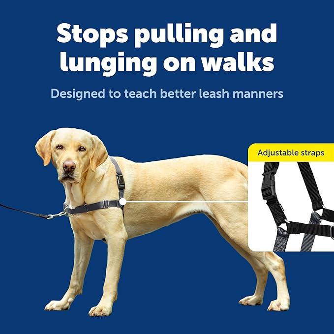 PetSafe Easy Walk No-Pull Dog Harness - Image 3