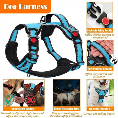 LOBEVE No Pull Dog Harness, Collar & Leash Set - Image 4