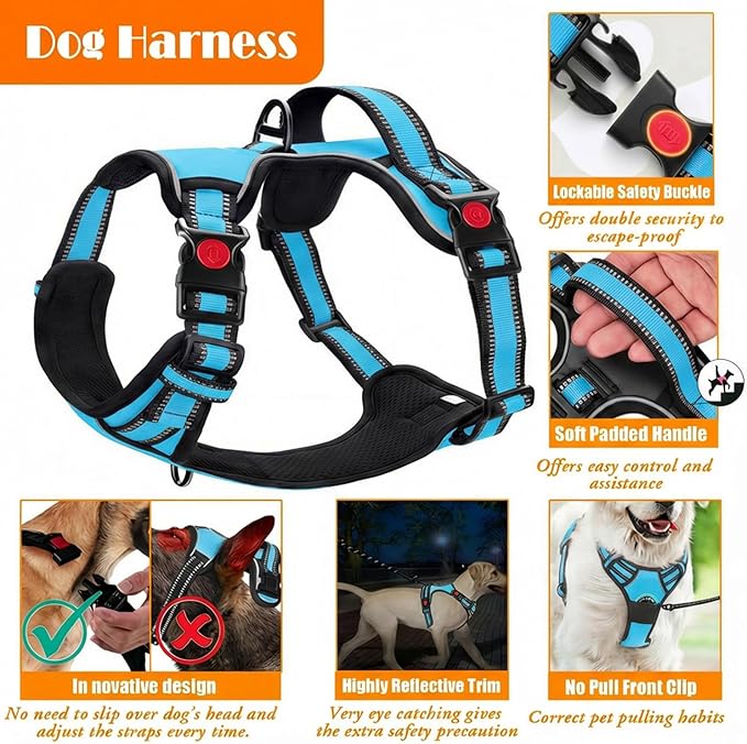 LOBEVE No Pull Dog Harness, Collar & Leash Set | Includes Dog Seat Belt - Image 4
