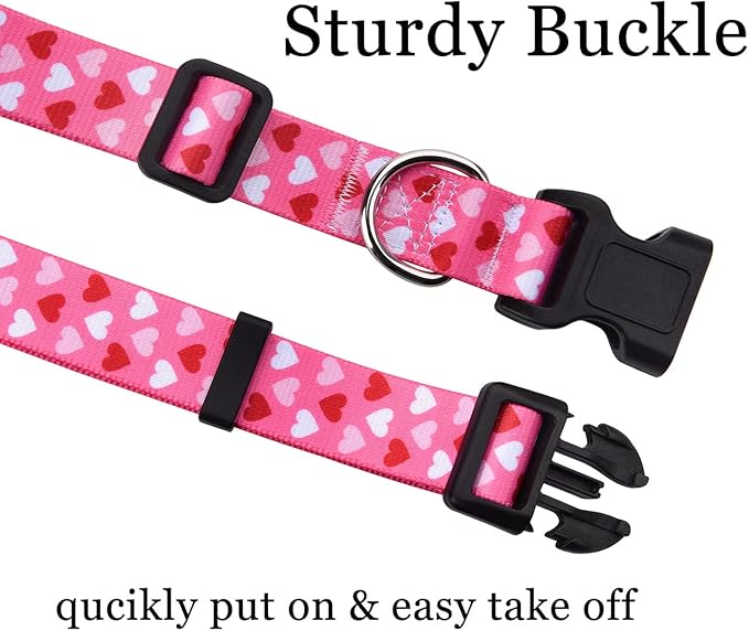 Mihqy Dog Collar and Leash Set - Image 2