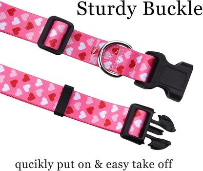 Mihqy Dog Collar and Leash Set - Image 2