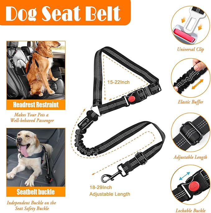 LOBEVE No Pull Dog Harness, Collar & Leash Set | Includes Dog Seat Belt - Image 7
