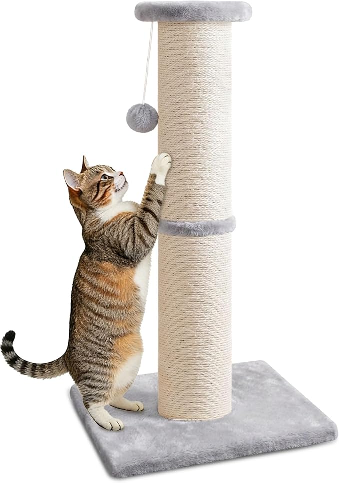 PAWSCRAT Cat Scratching Post 32" Tall, 5-Inch Diameter Natural Sisal Cat by PAWSCRAT